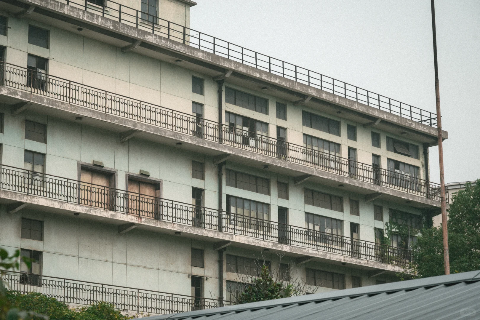 残骸与新生，大自然改造了废弃工厂