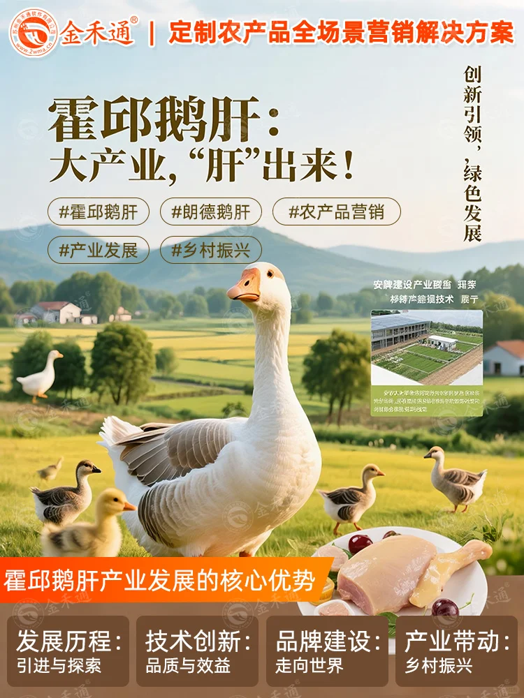 霍邱鹅肝:大产业,“肝”出来!