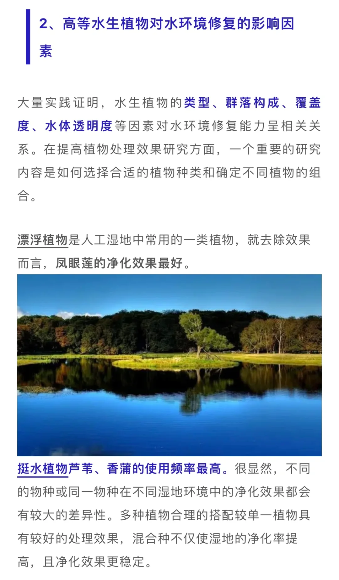 水生植物在水体修复中的妙用……
