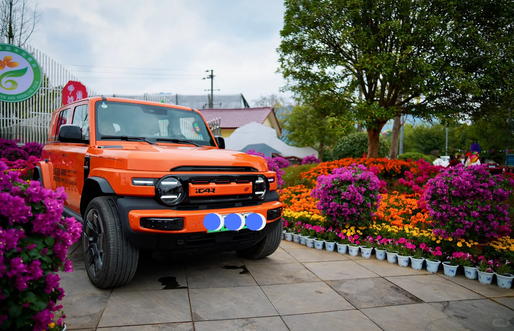 今天我们V23来到花卉苗木交易会现场啦