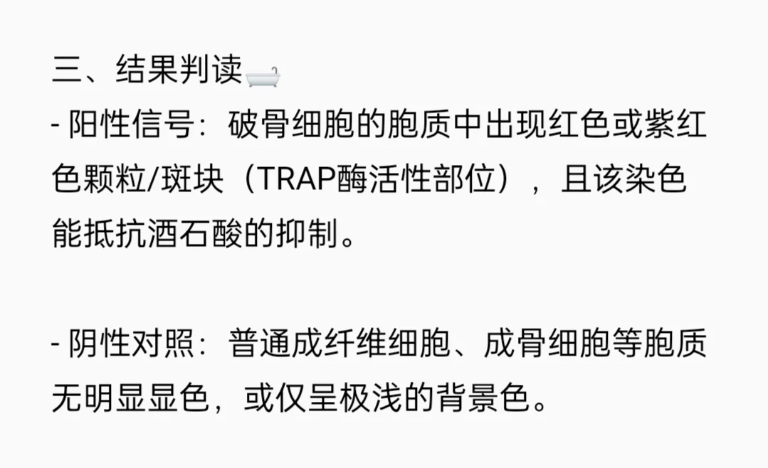 TRAP染色实验流程