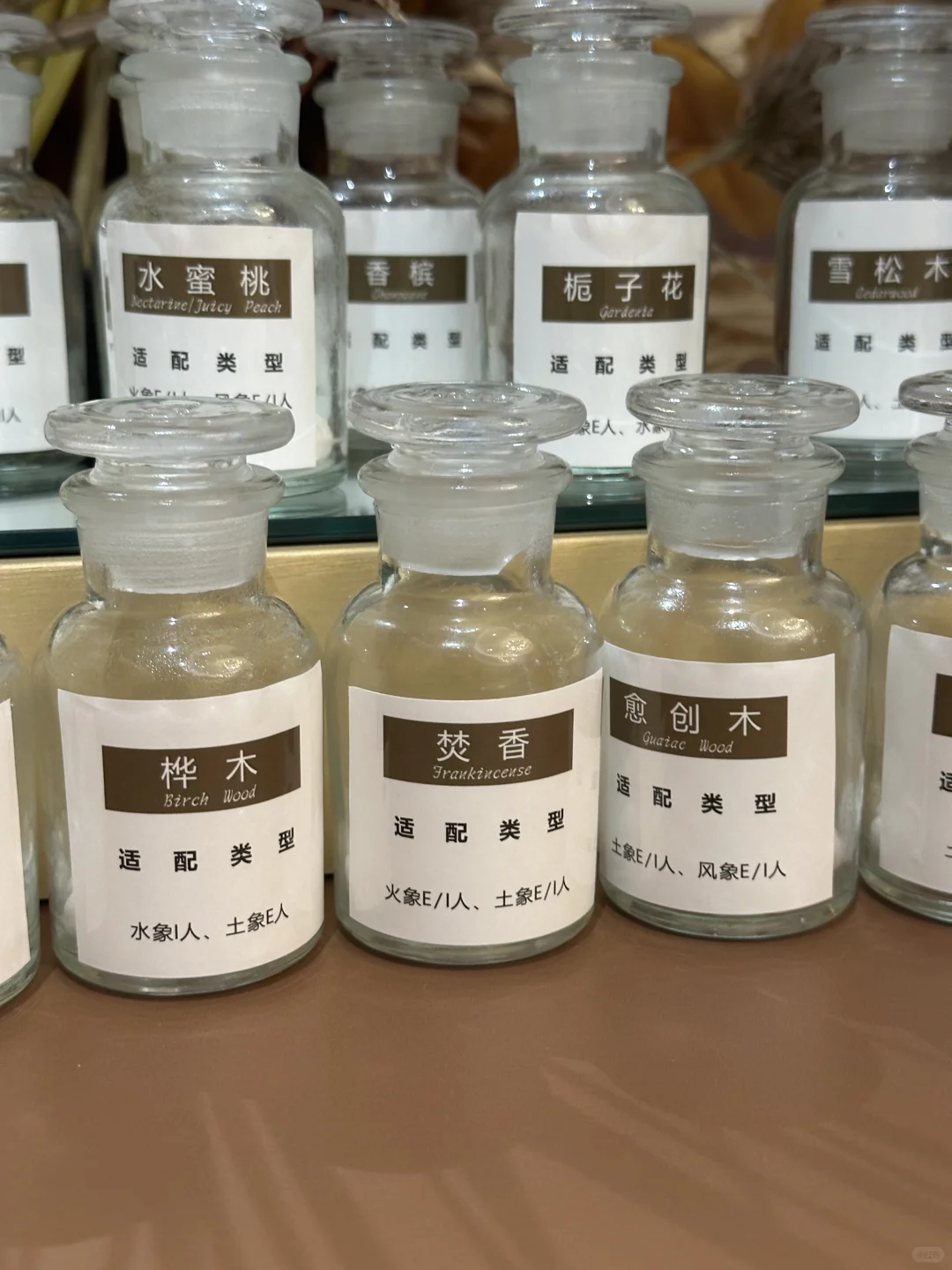 气味上海·公众日逛展攻略来啦!