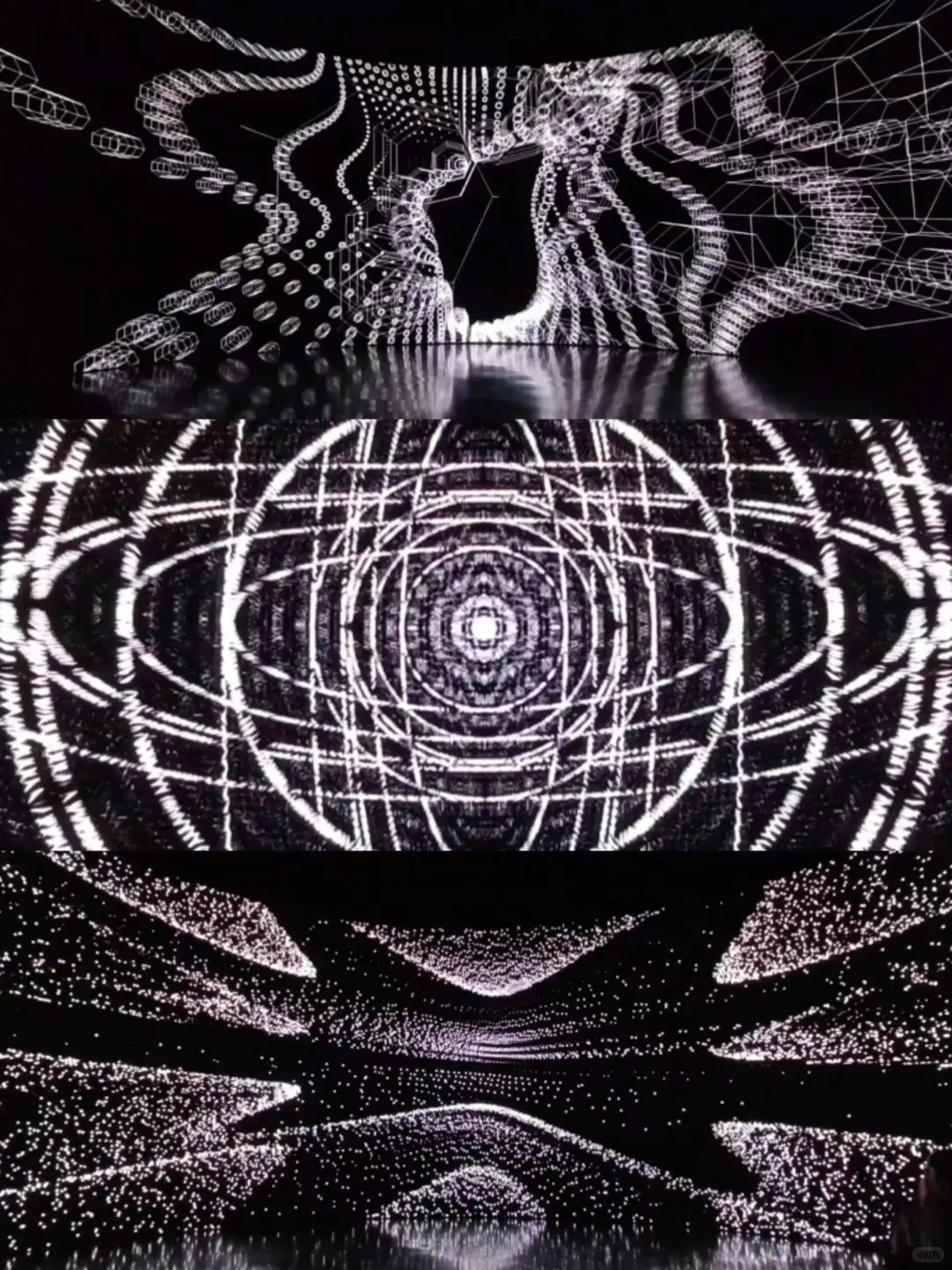 在上海你一定要相信?好看的展都是免费滴