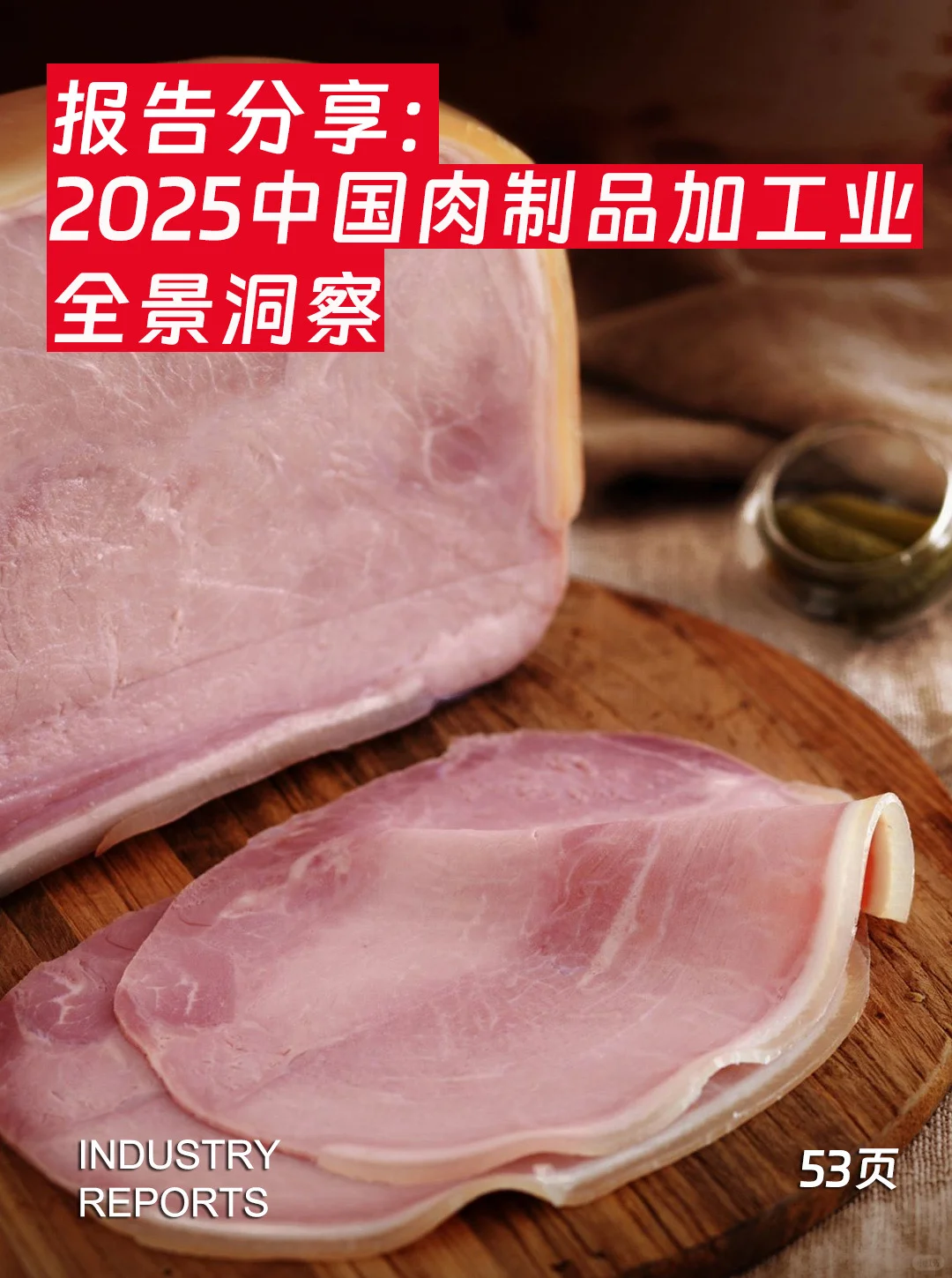 53页|2025中国肉制品加工业全景洞察