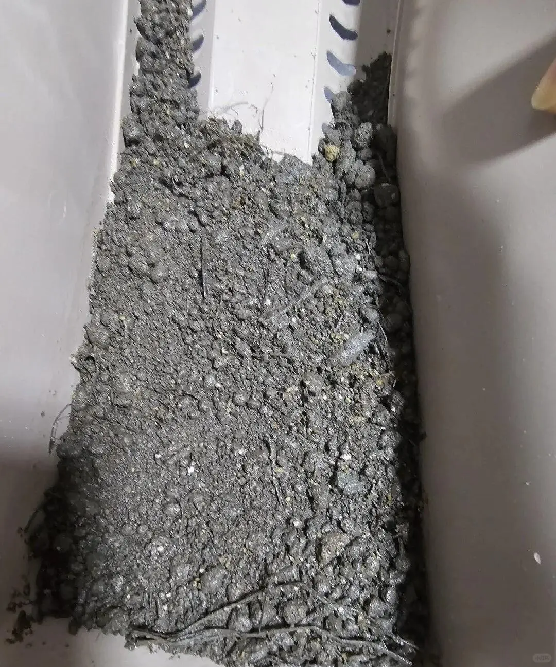 再说毒营养土和工业废土，看图学鉴别