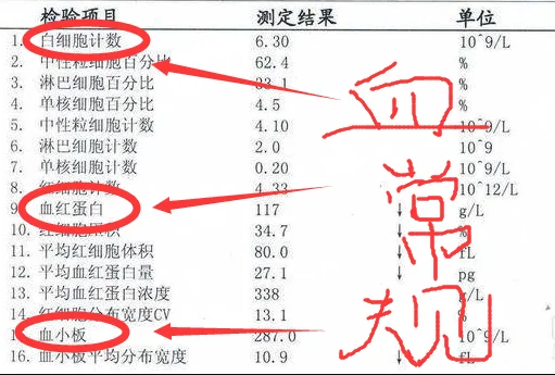 血常规只要这三项正常，你就是健康的！