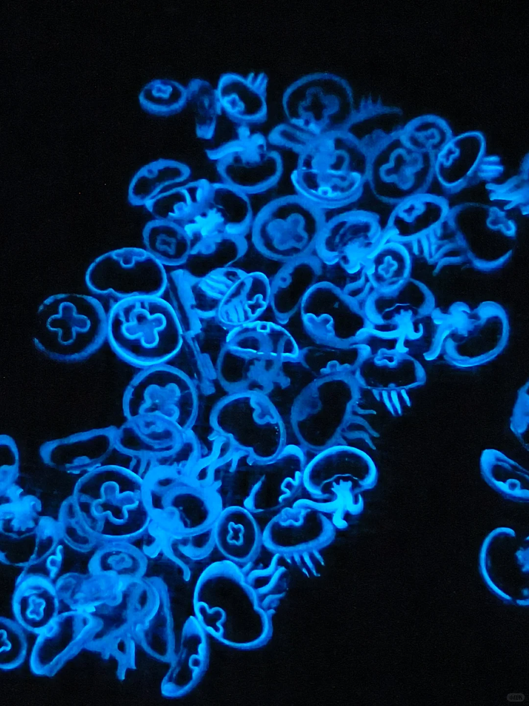 小白勇闯滴胶圈入坑指南