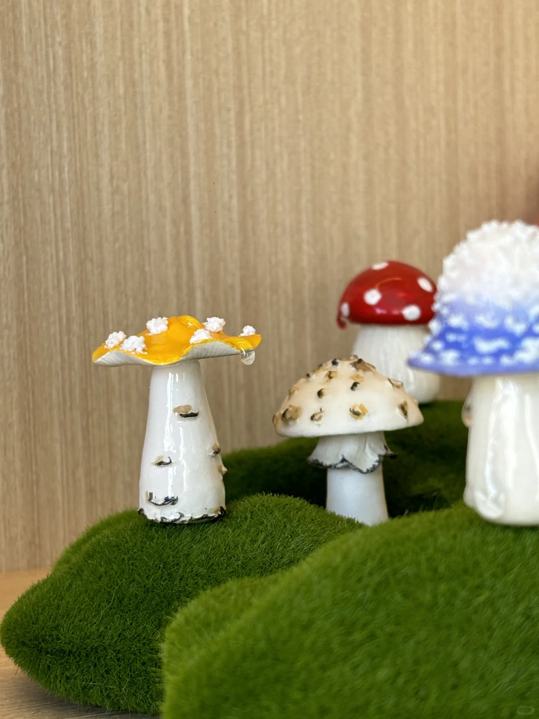 ?‍?进山采蘑菇的一天