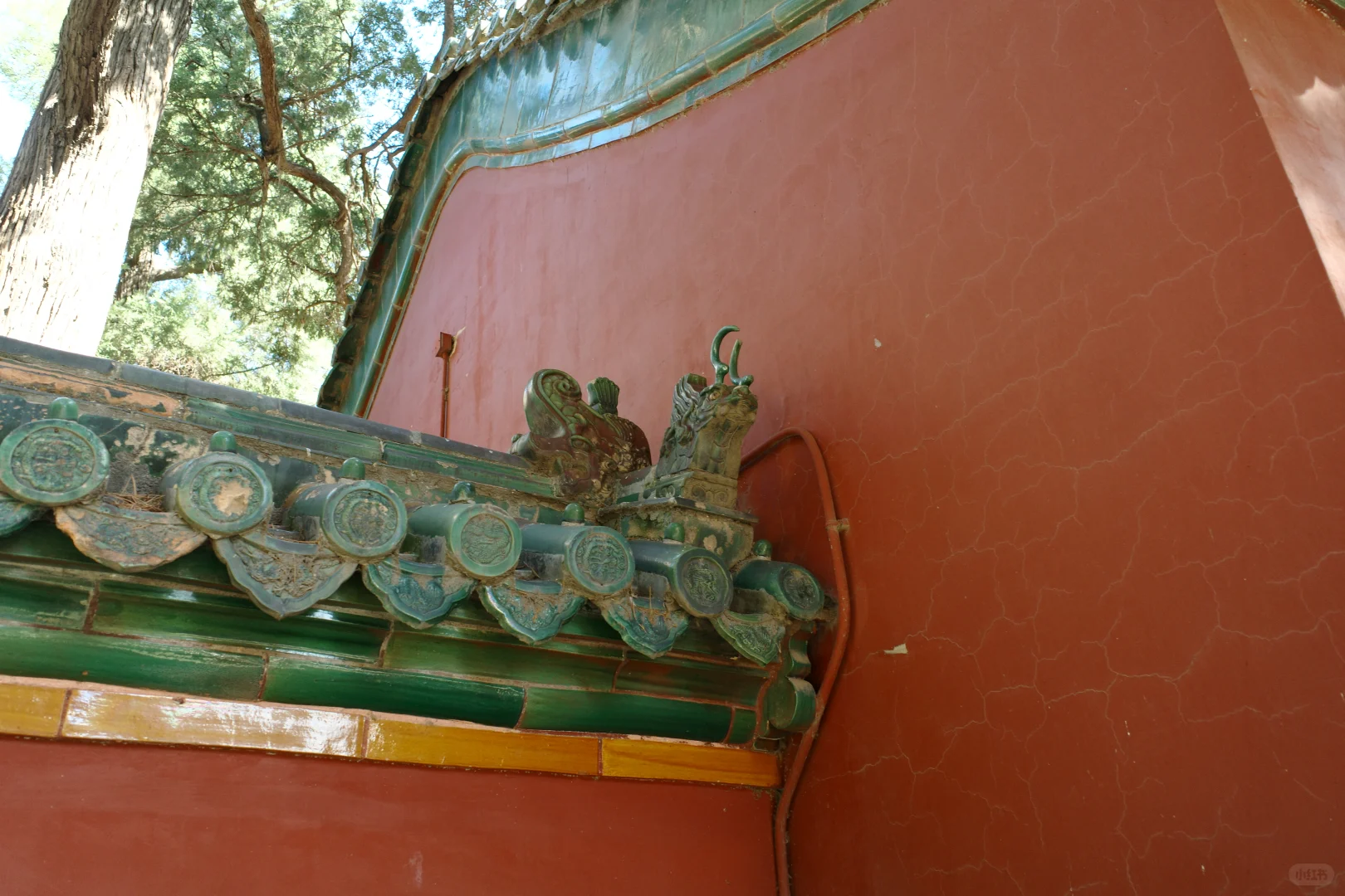 理光相机—自动白平衡(上)