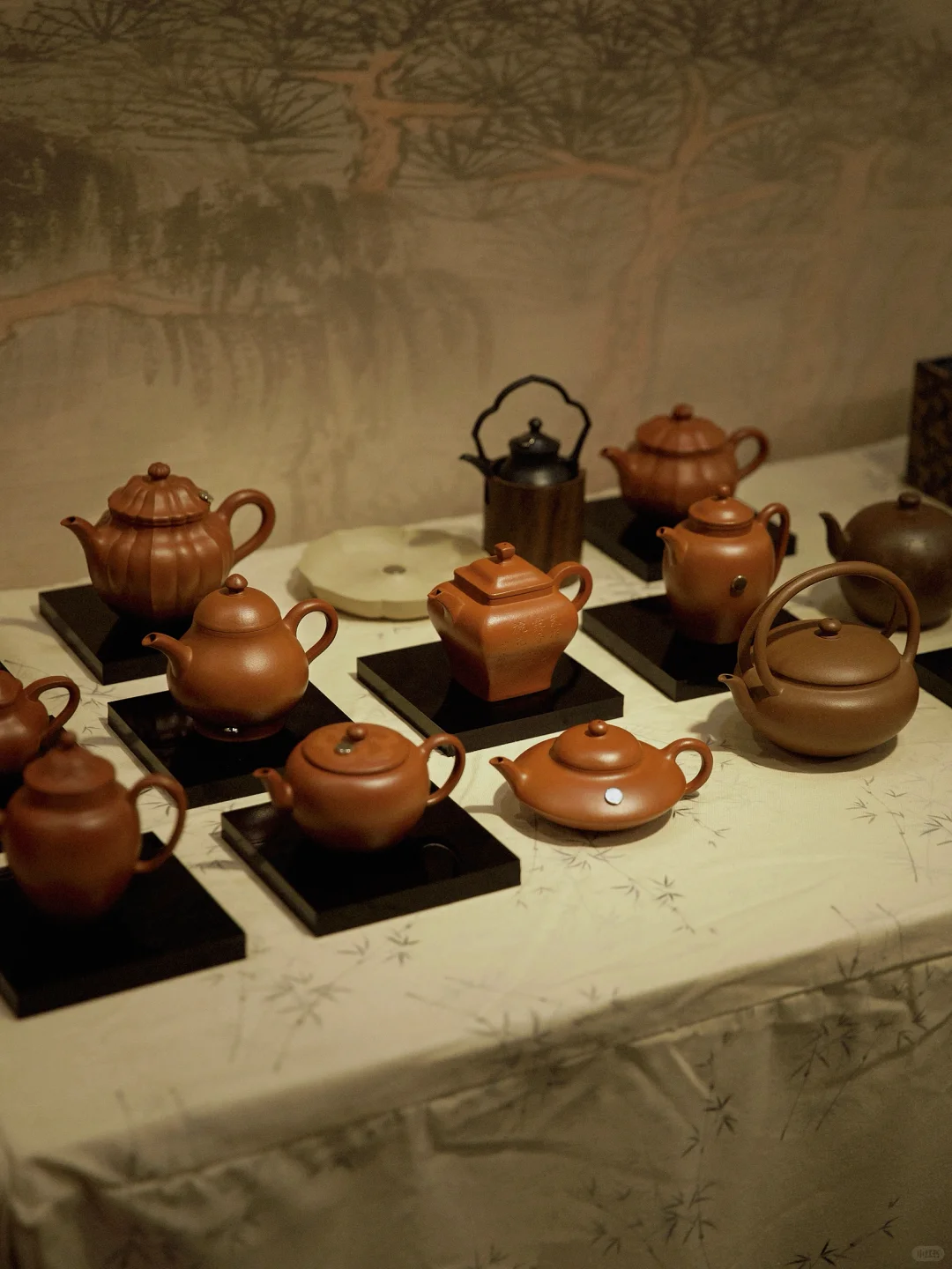 提前到达厦门展会…