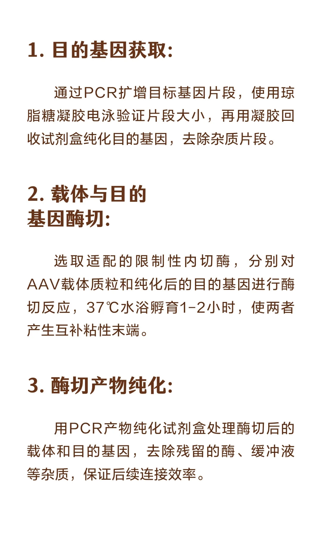 AAV质粒构建流程