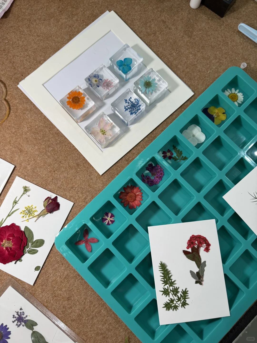 沉浸式压花｜治愈系小花花