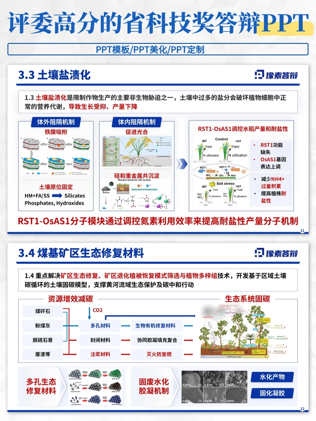 惊艳全场?我给导师的省科技奖PPT赢麻了