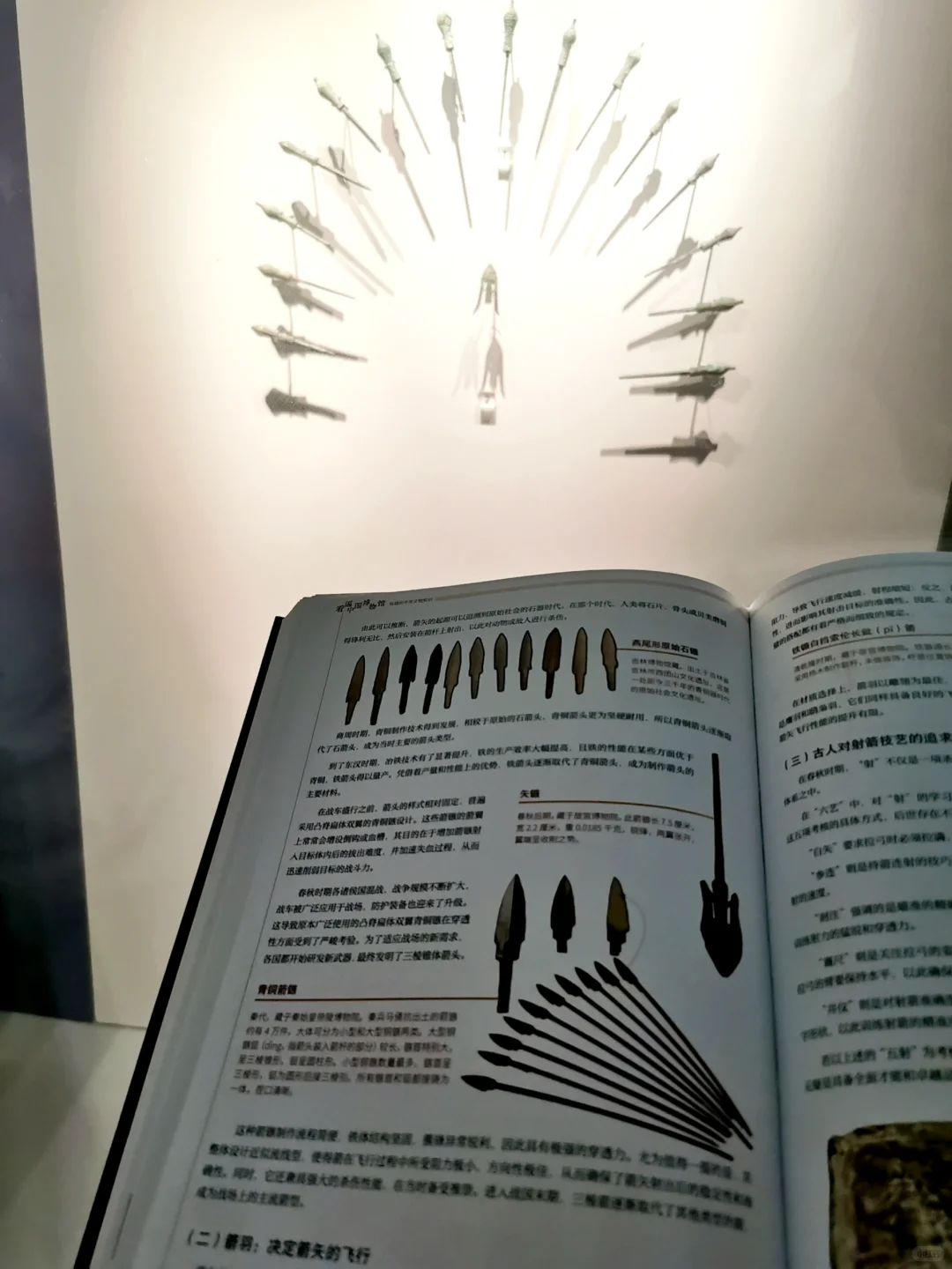 看遍中国博物馆:南京博物院