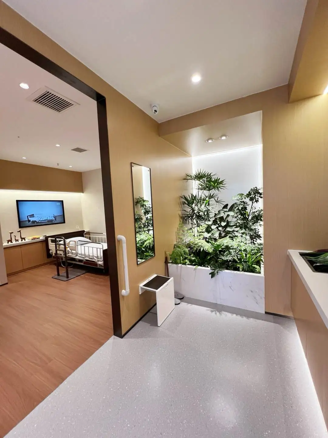 送给家里老人贴心的礼物