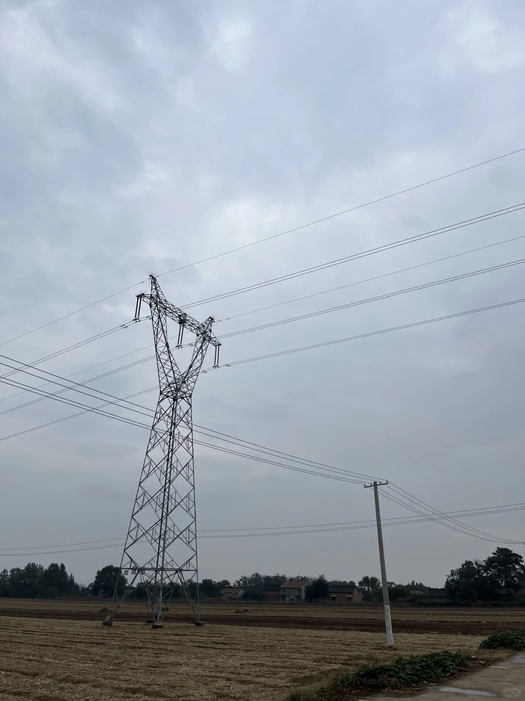 220kV直线塔型细节～