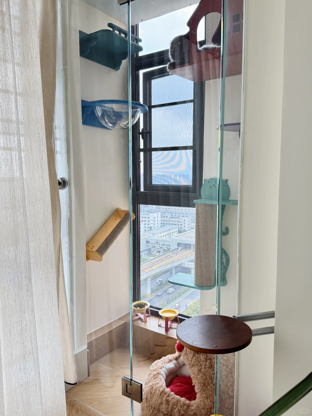 ?✨0.5平玻璃猫房 小空间改造✅附尺寸?