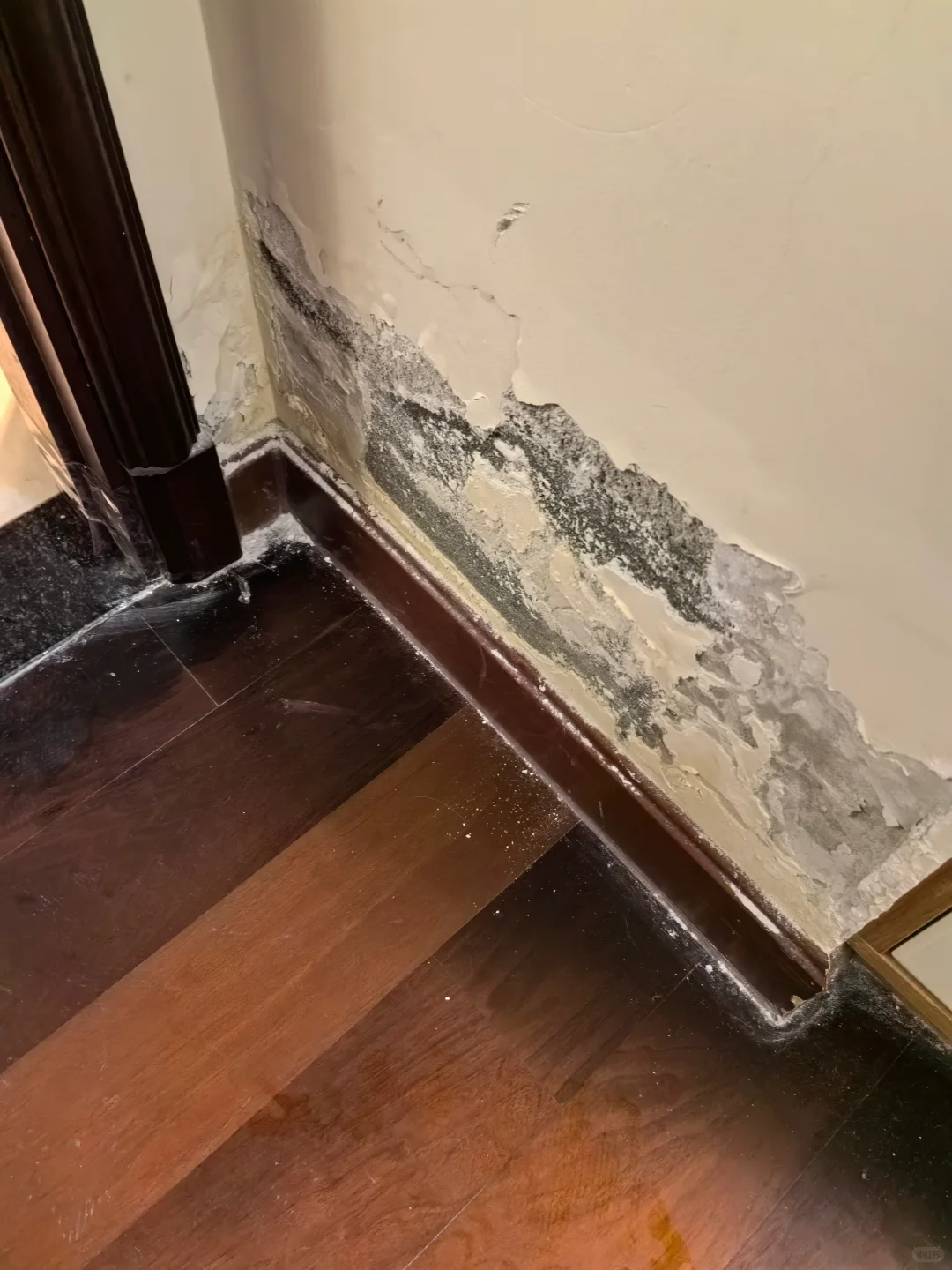 卫生间墙面渗漏水，这次终于找到源头了‼️