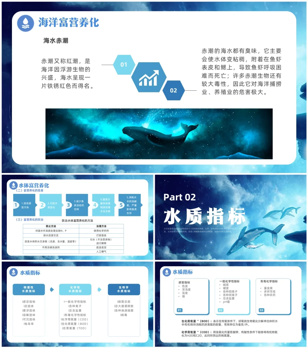 大巴原创PPT-534:水污染及其防护介绍PPT