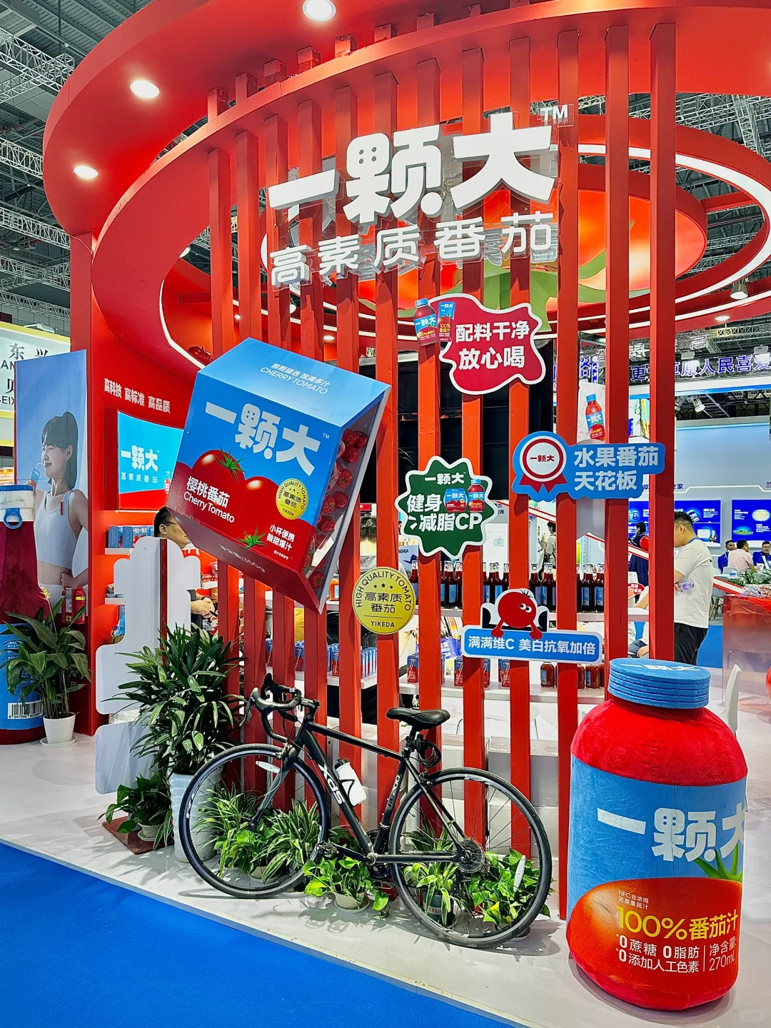 重生之我在上海展览吃到了人生番茄?!