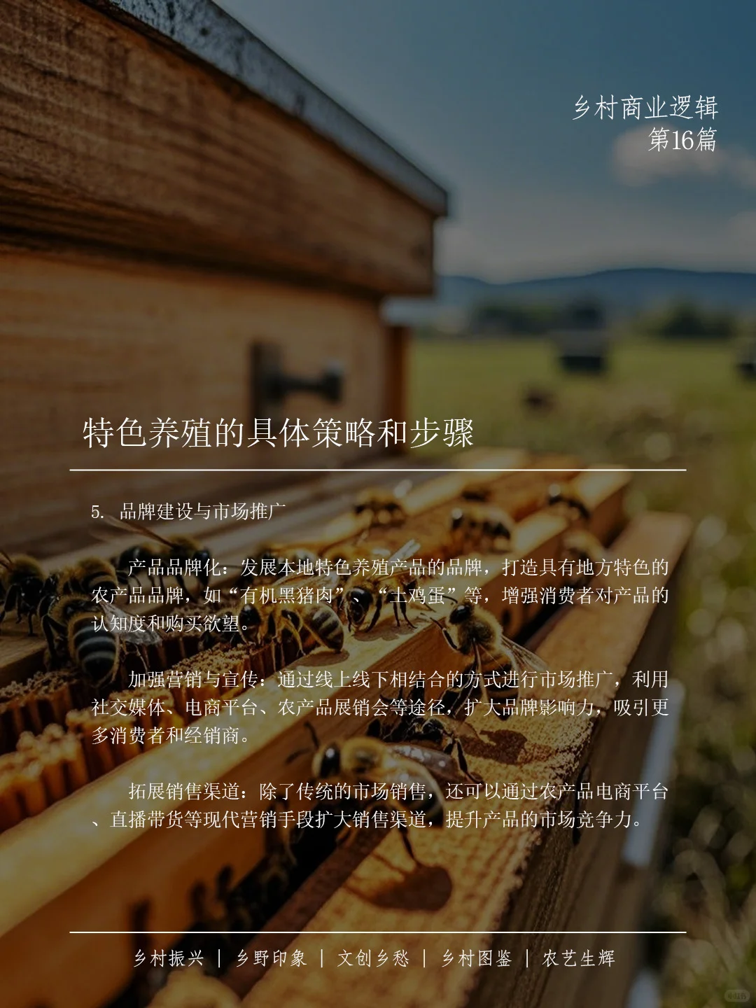 ? 特色养殖产业如何助力乡村振兴??