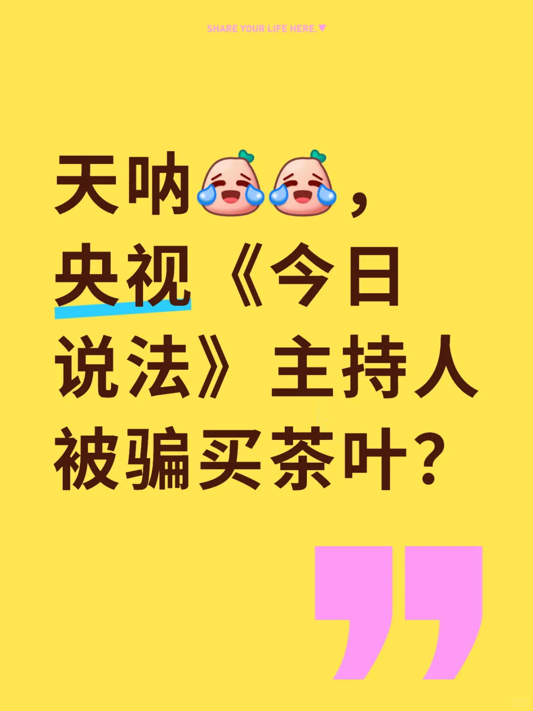天呐,央视《今日说法》主持人被骗买茶叶?