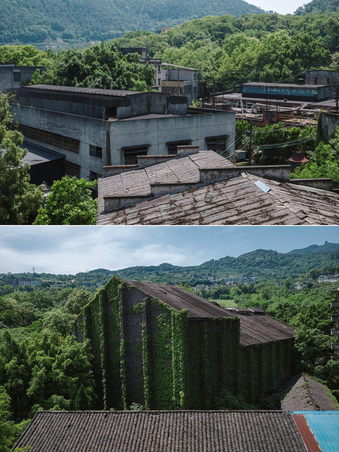 |川仪系列|川仪一厂