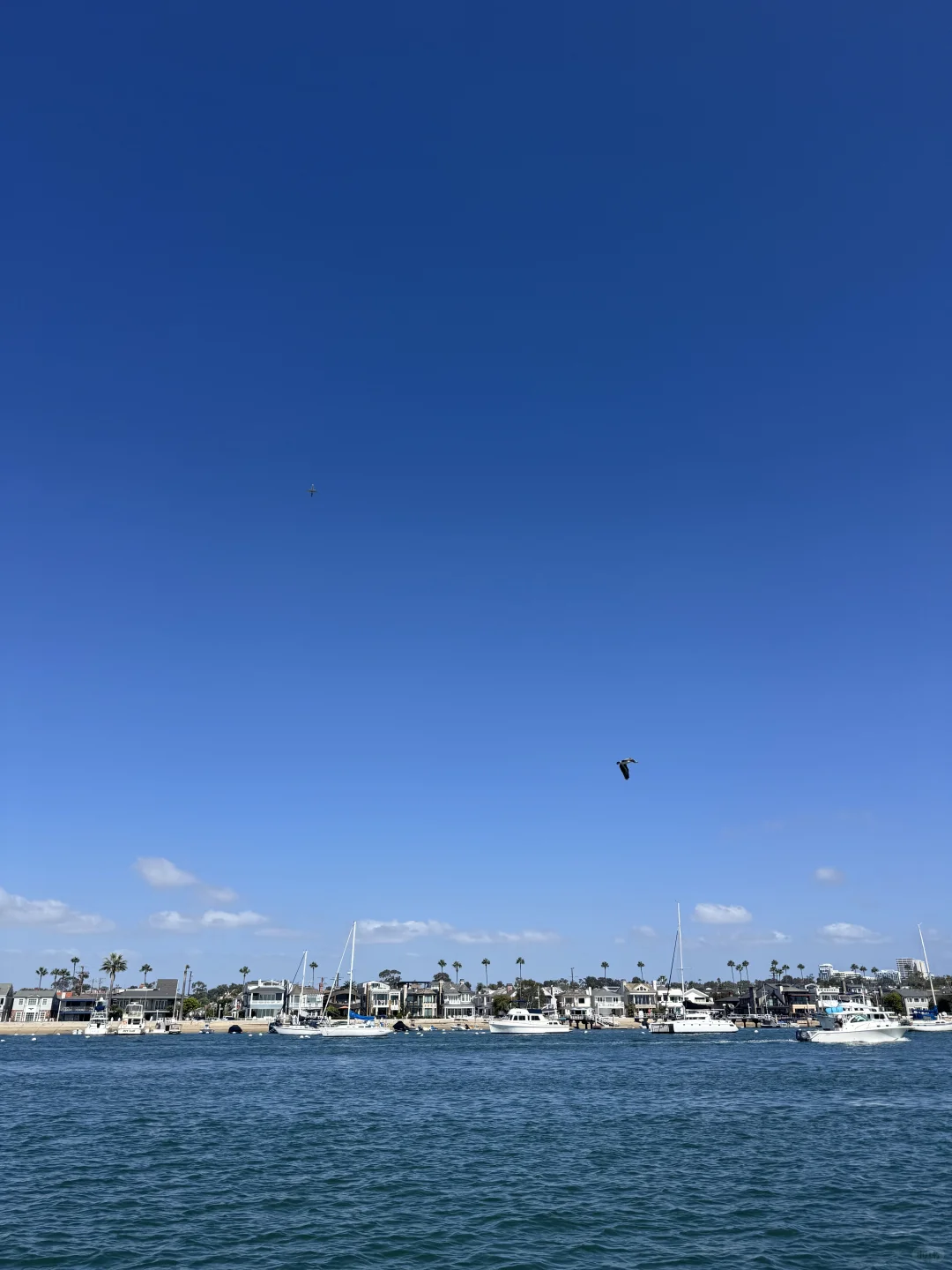 干了～续命咖啡☕️