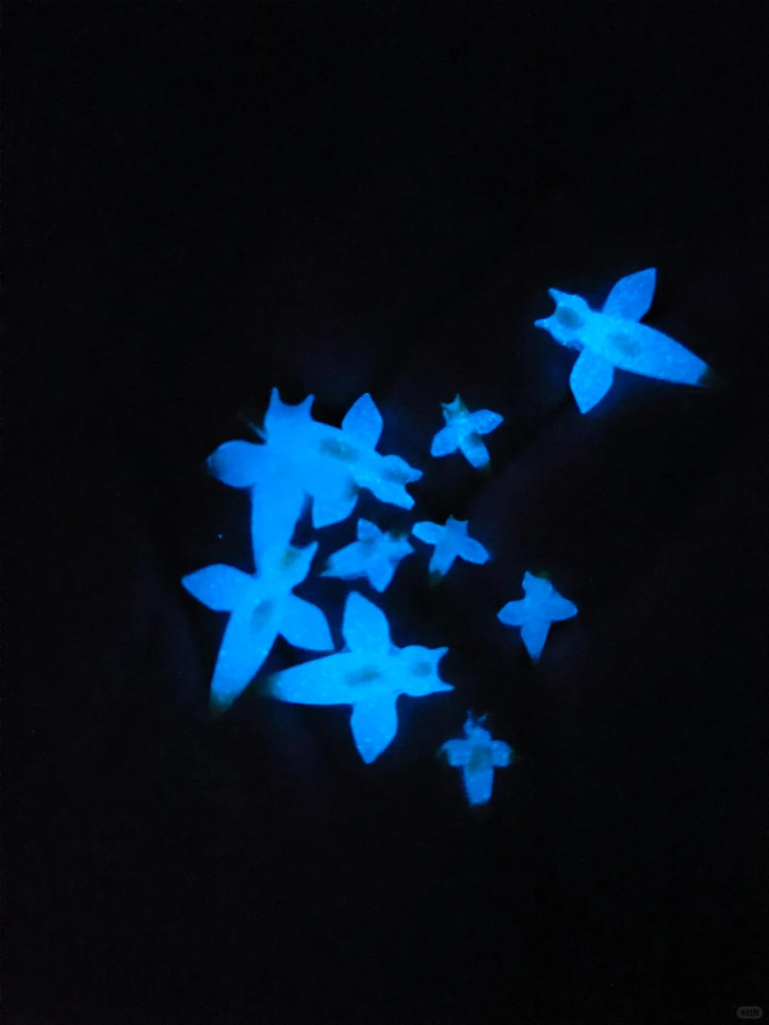 小白勇闯滴胶圈入坑指南