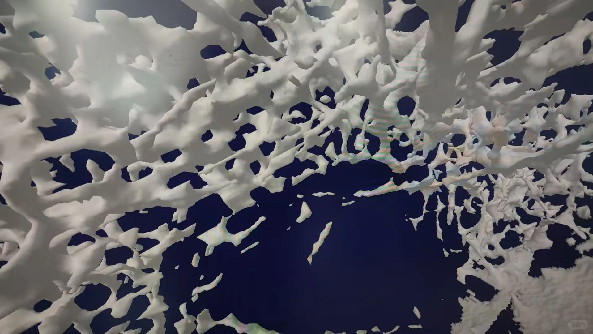 Micro-CT骨小梁三维结构定量分析技术解析