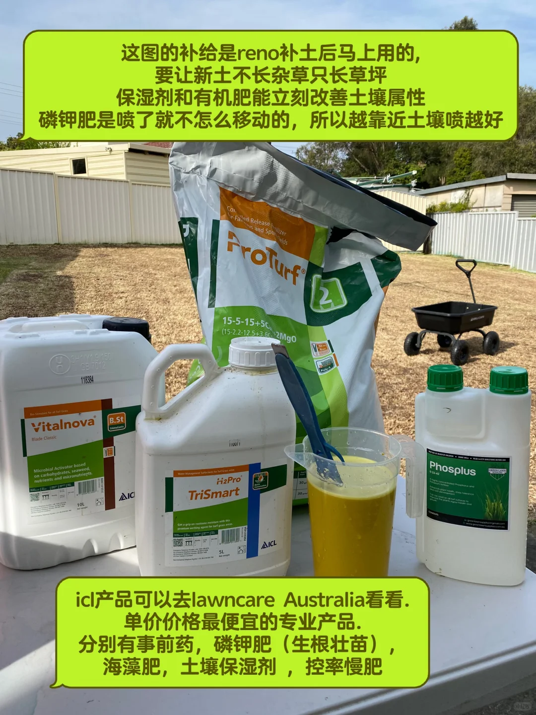 草坪修复与补给