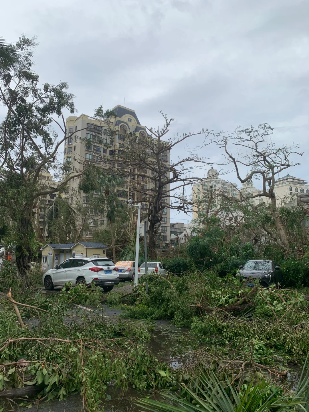 台风“摩羯”后的家?｜断桥铝门窗的重要性