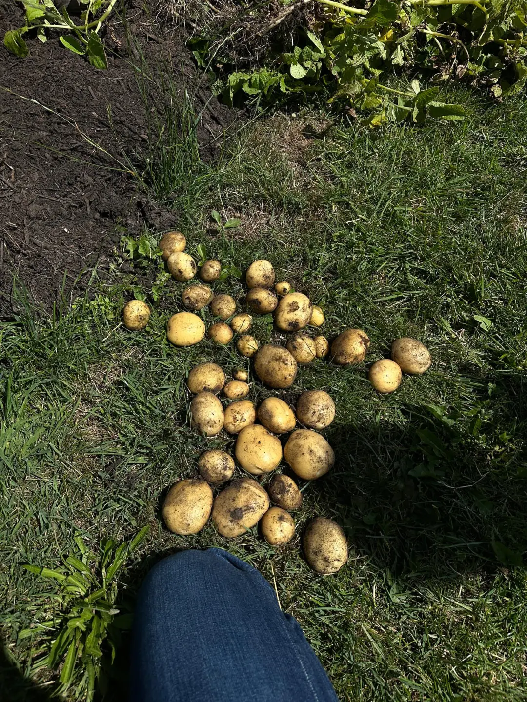 这是我们对土地的回应！