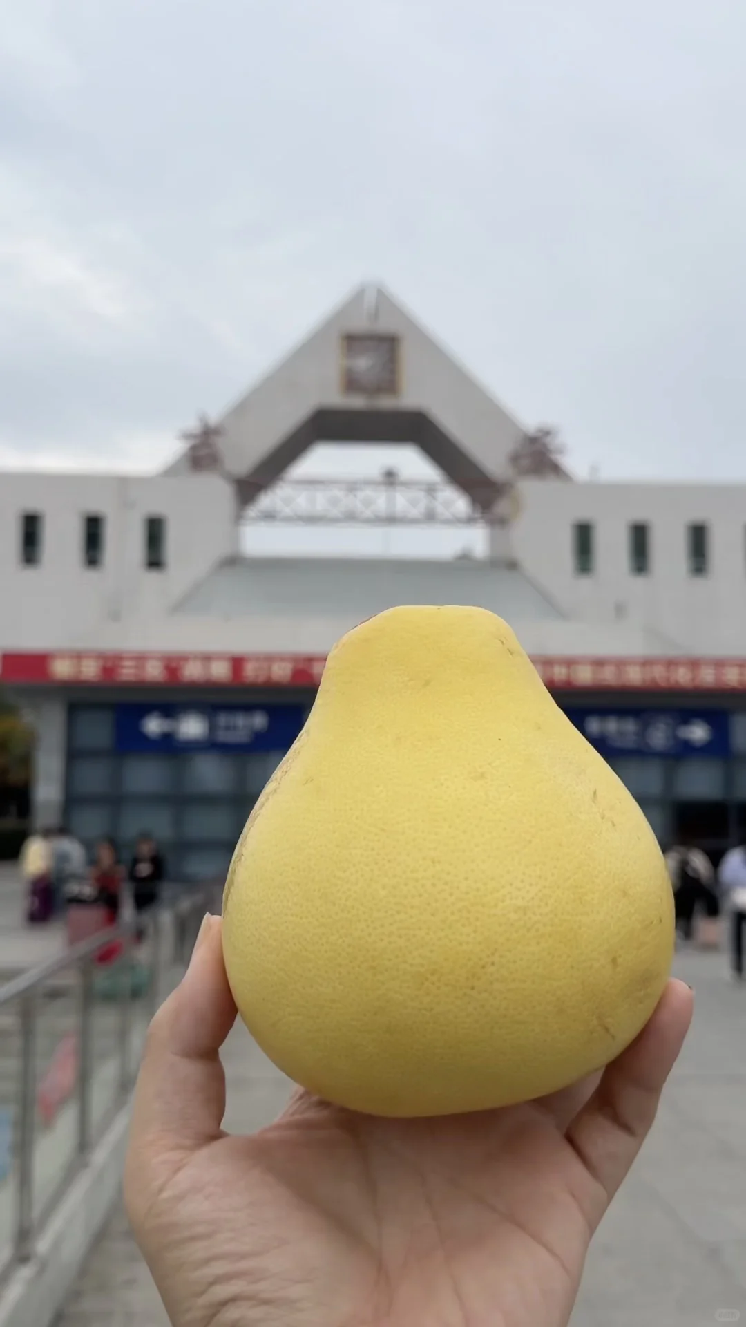 我来找农交会江西展馆的柚子了