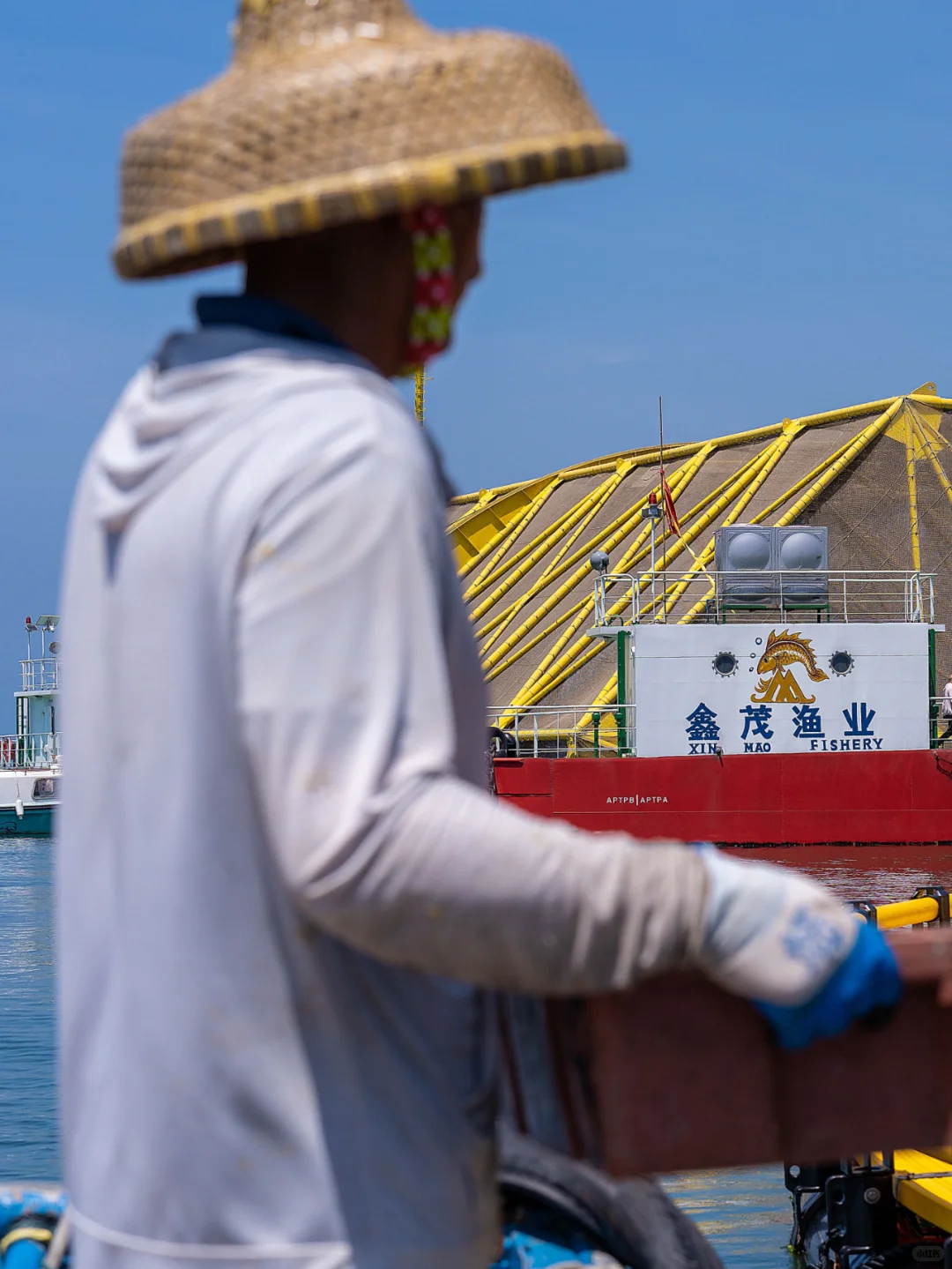 ?海味盛宴,共赏生态之美?