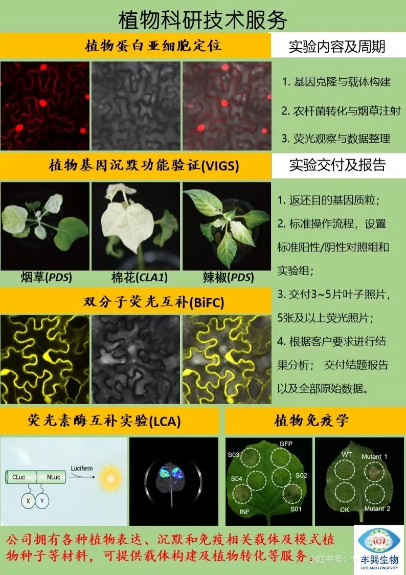 双11大促!真菌基因敲除敲三赠一预付享豪礼