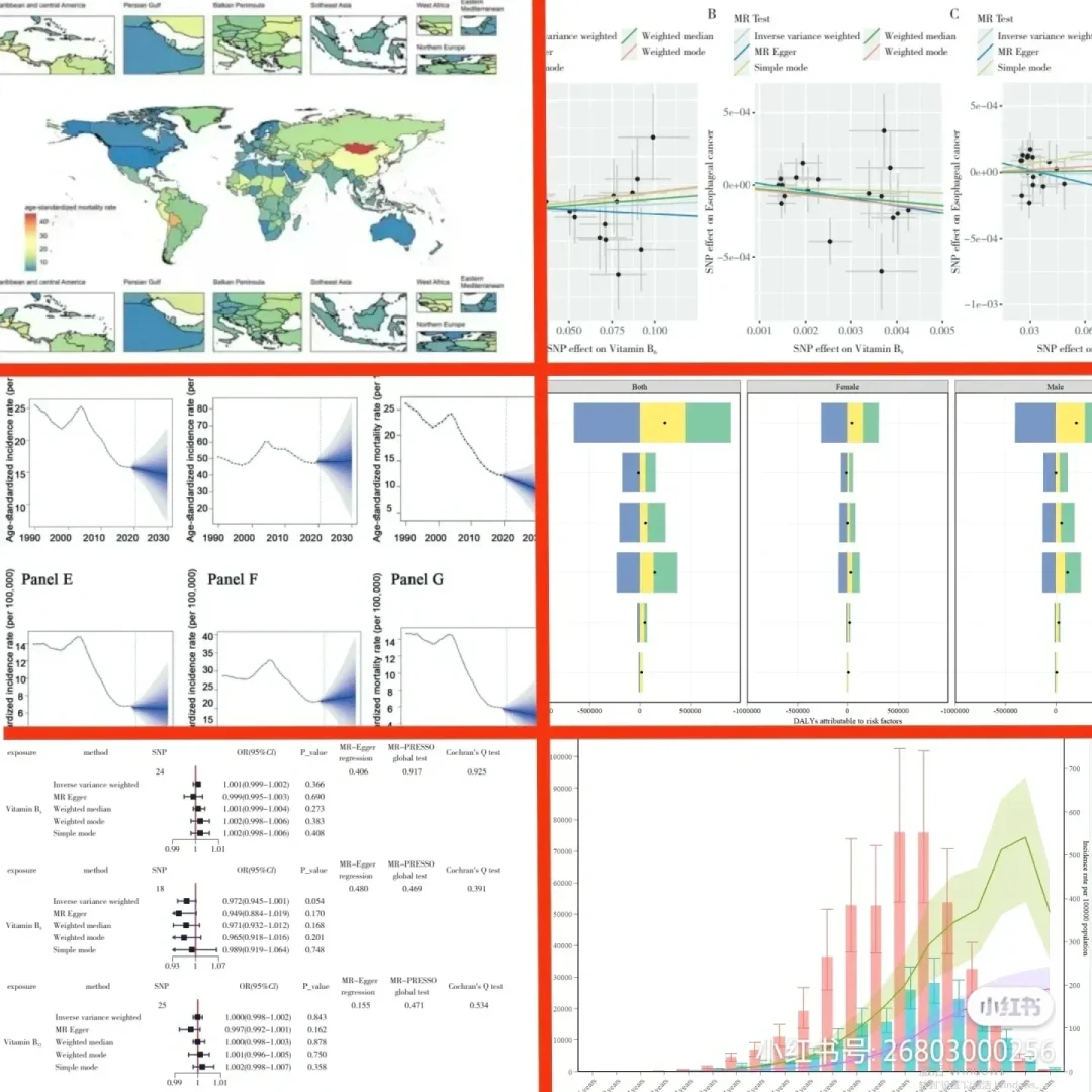 GBD&MR代分析和作图,只需几百元,卷价格