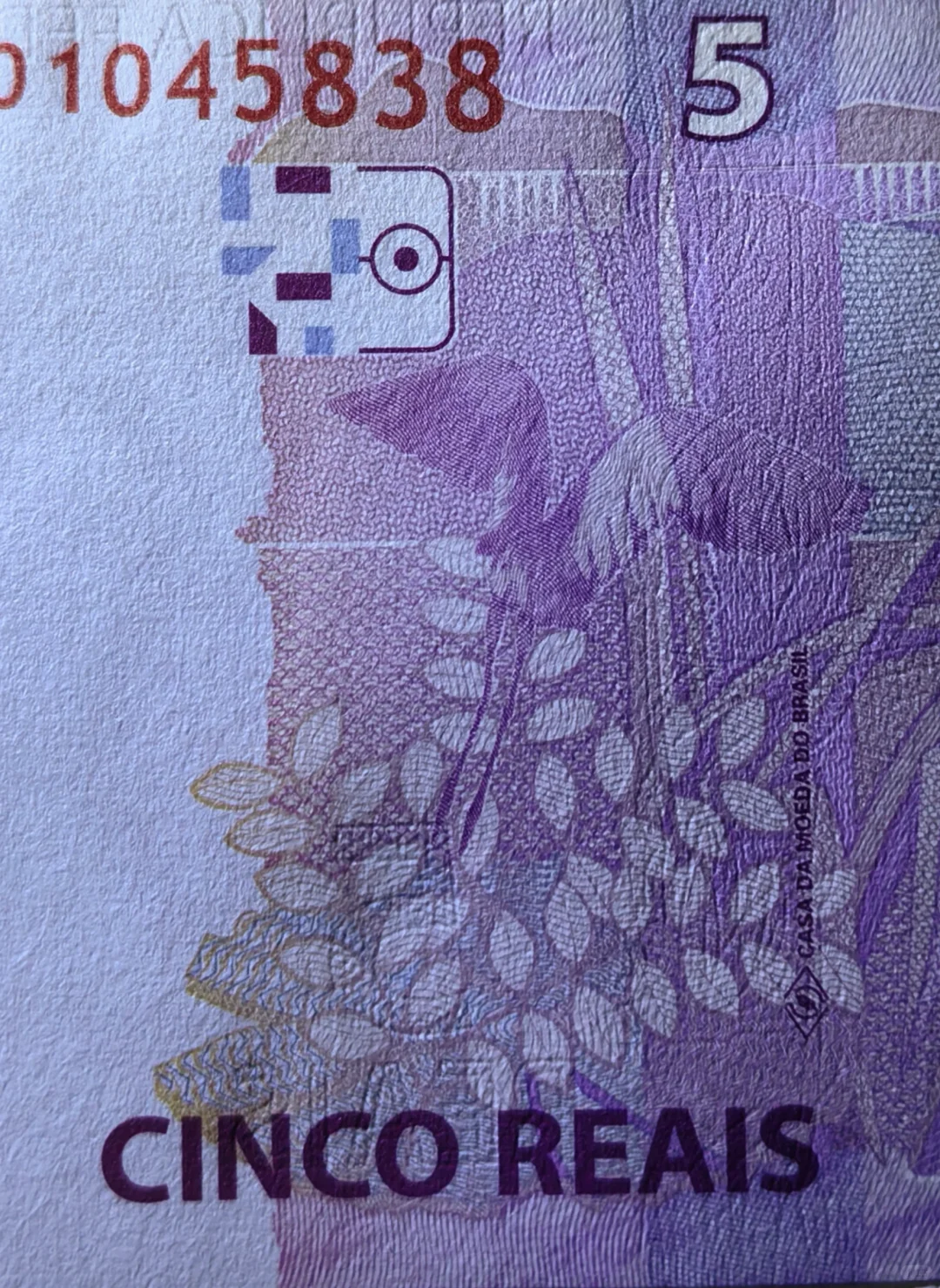 每日一钞:巴西5雷亚尔纸币