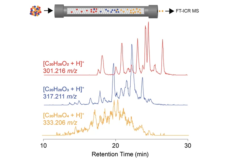 傅里叶变换离子回旋共振质谱（FTICR MS）