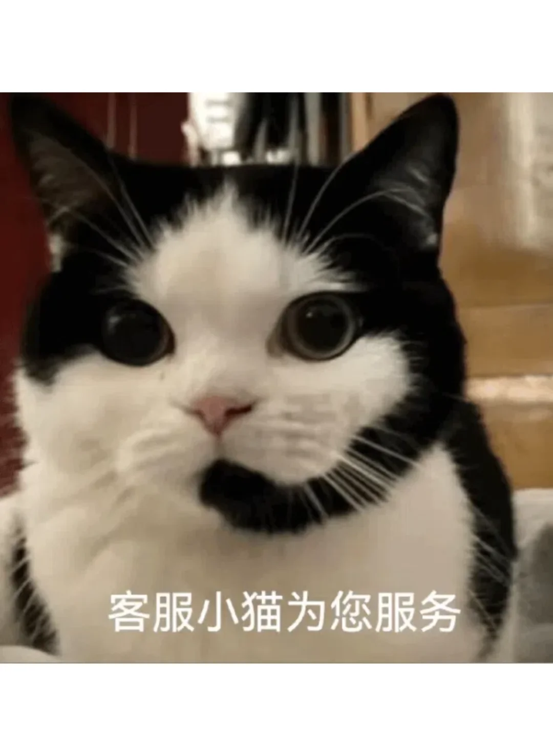 马克笔收纳包定制！源头工厂满足你的专属需