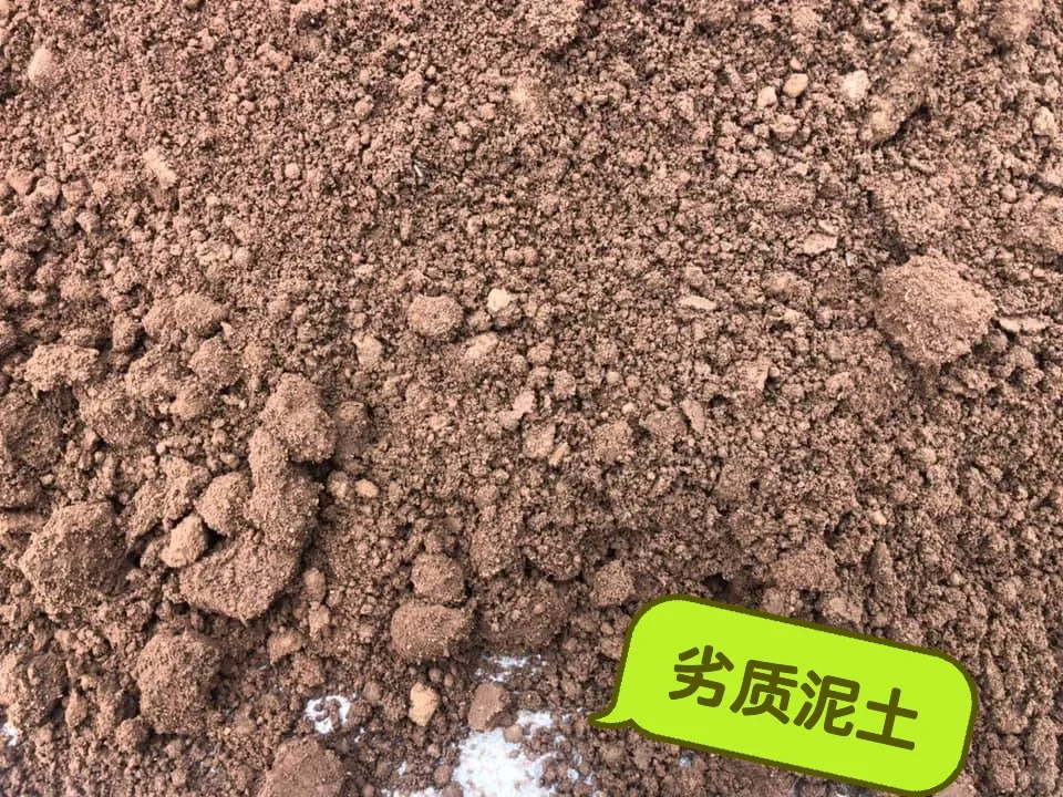 ?? 补土 top dressing 草坪维护