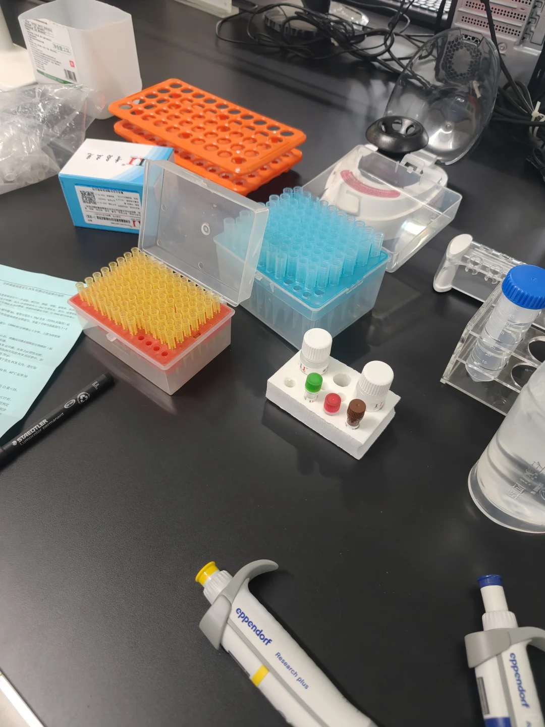 分子试验的一天