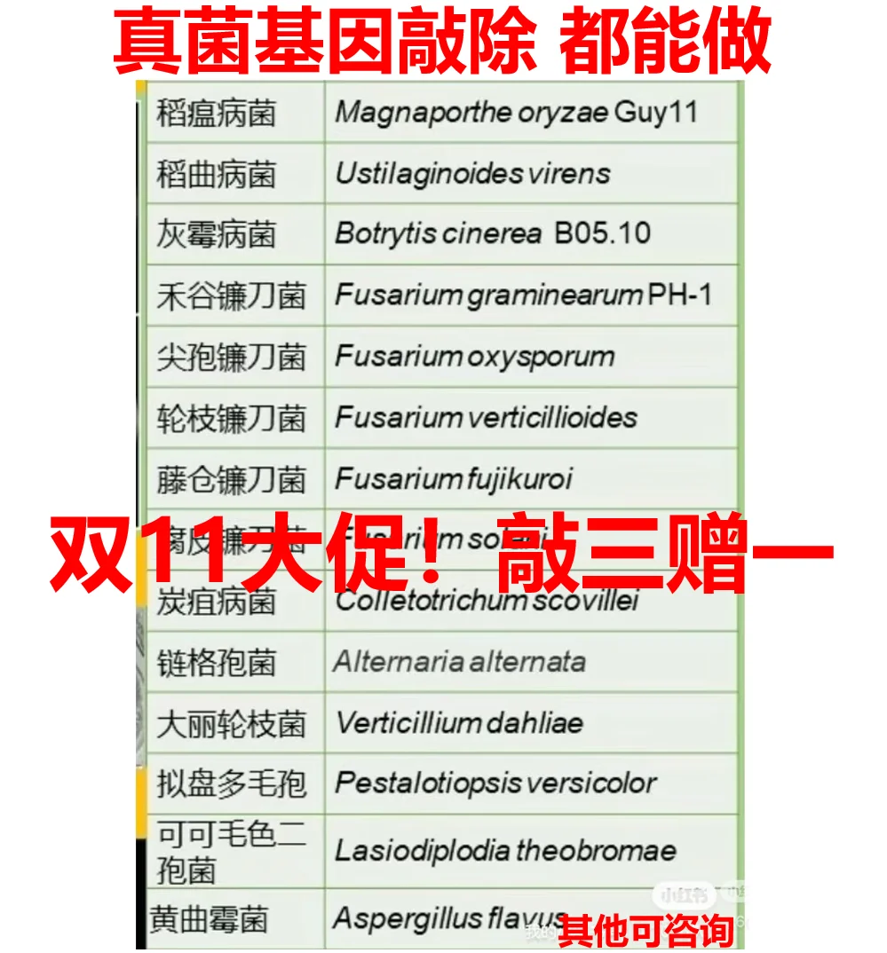 双11大促!真菌基因敲除敲三赠一预付享豪礼
