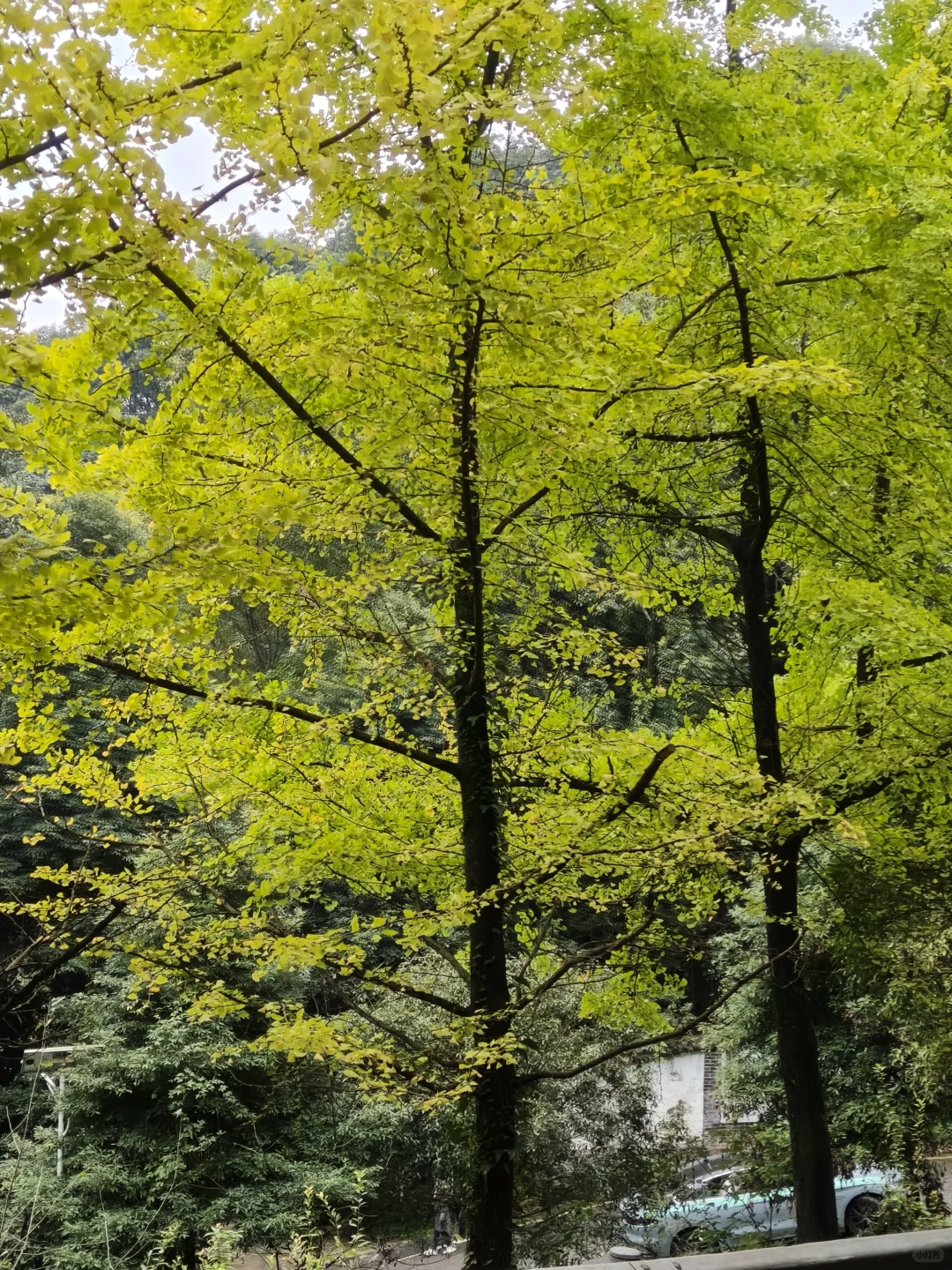 械企免费投放设备并承担科室会议费等被重罚