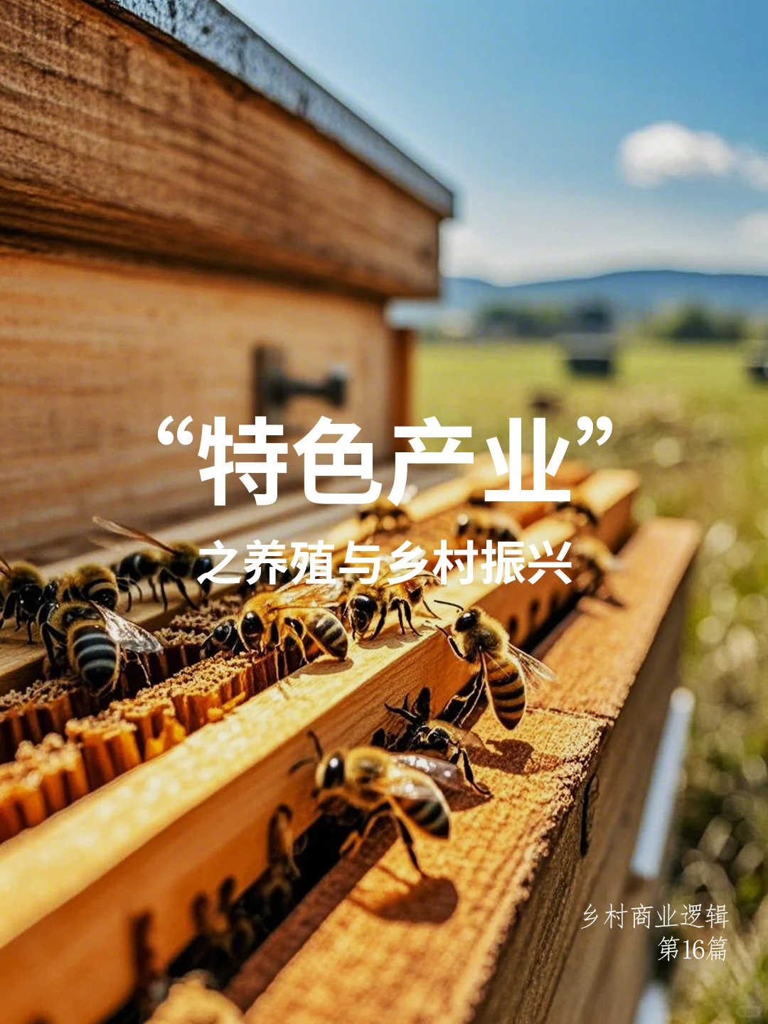 ? 特色养殖产业如何助力乡村振兴??