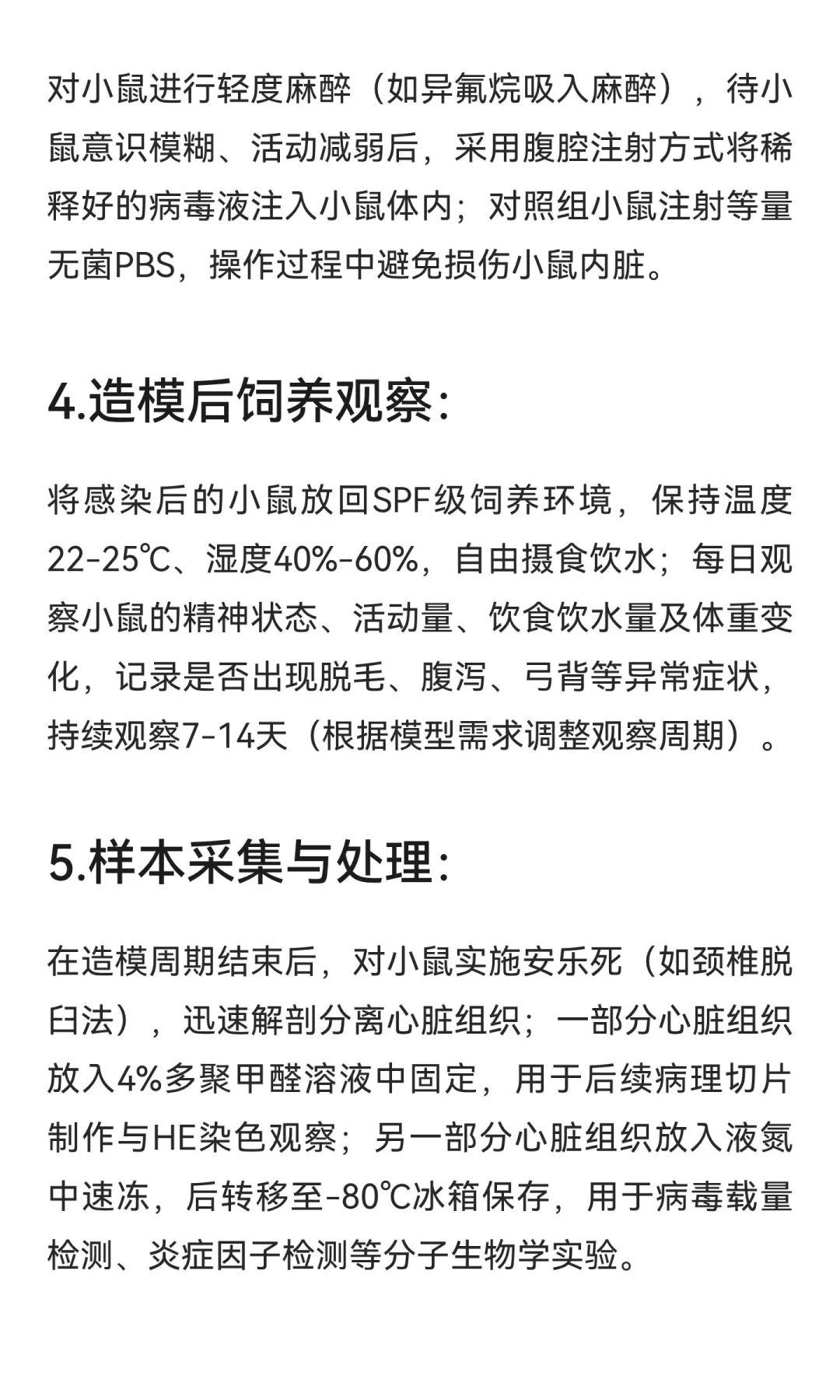 小鼠心肌炎模型