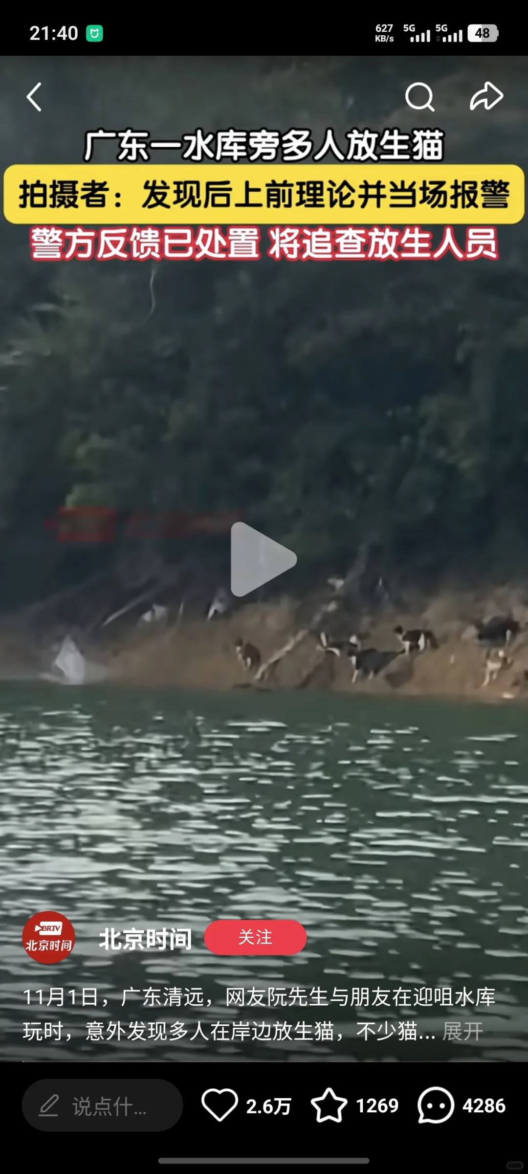 广东“放生猫咪”