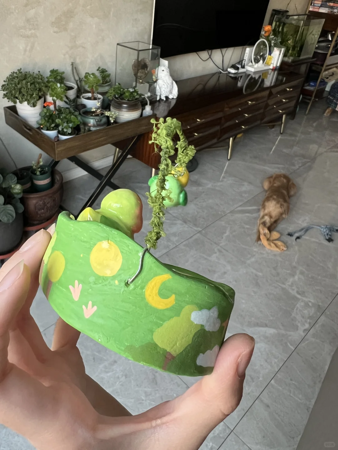 小鸟食盆大成功！