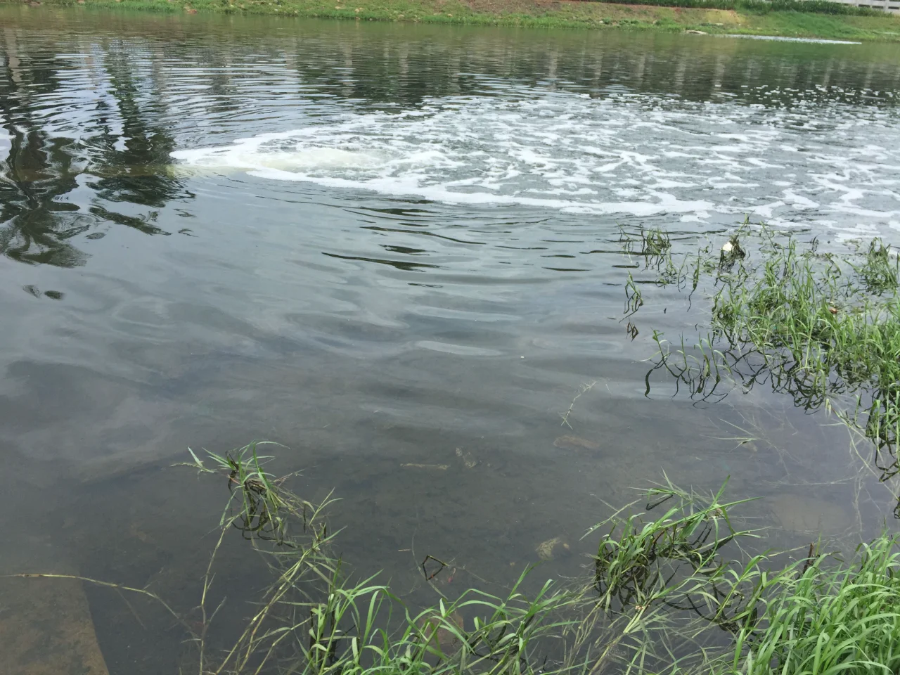 黑臭水体治理内幕：哪些技术只是烧钱的噱头