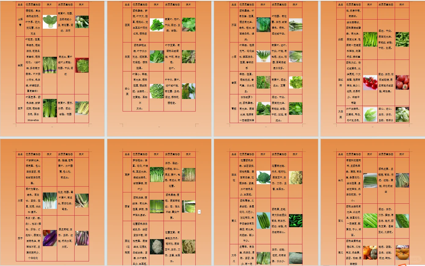 最近食材配送项目真多！